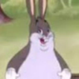 Meet your Posher, Hayden